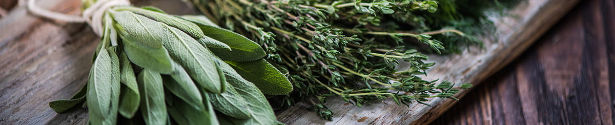 ervas_aromaticas_1200