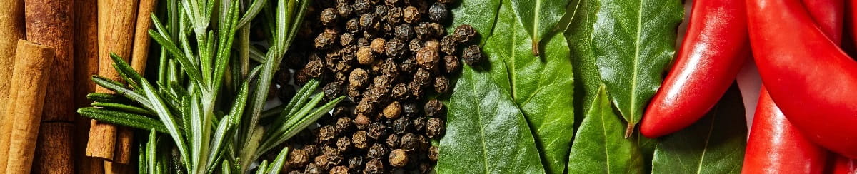 express-1200x244-jpg