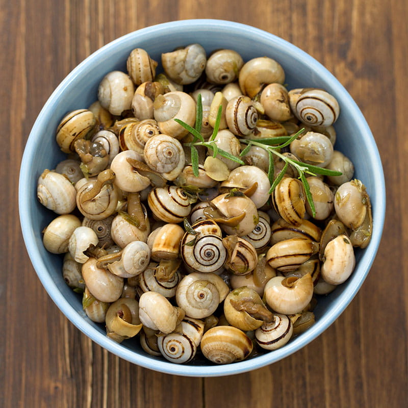 Caracois a moda da Margap