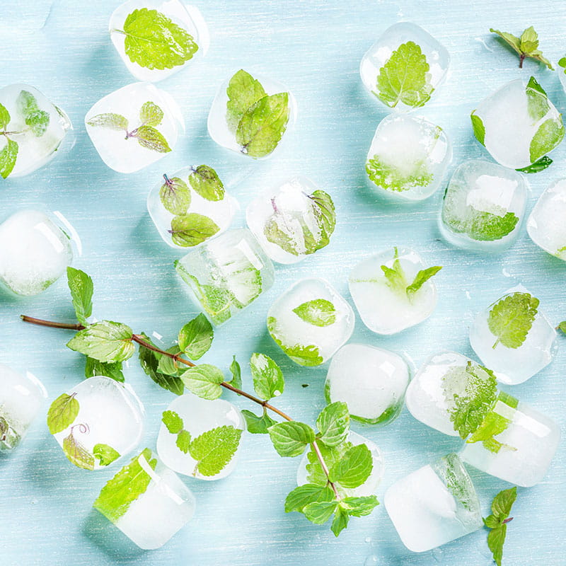 Cubos de Gelo com Aneto e Hortela